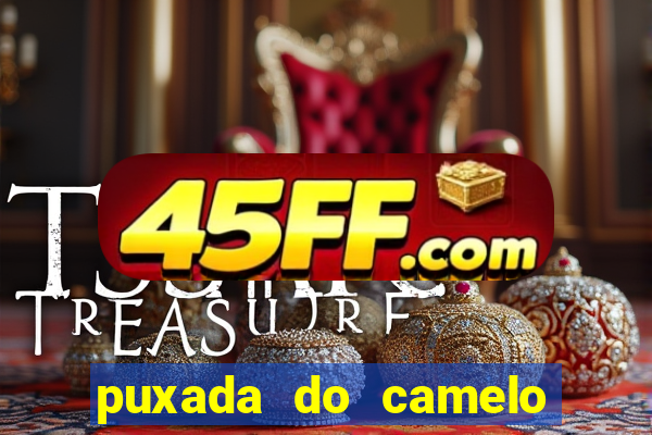 puxada do camelo no jogo do bicho